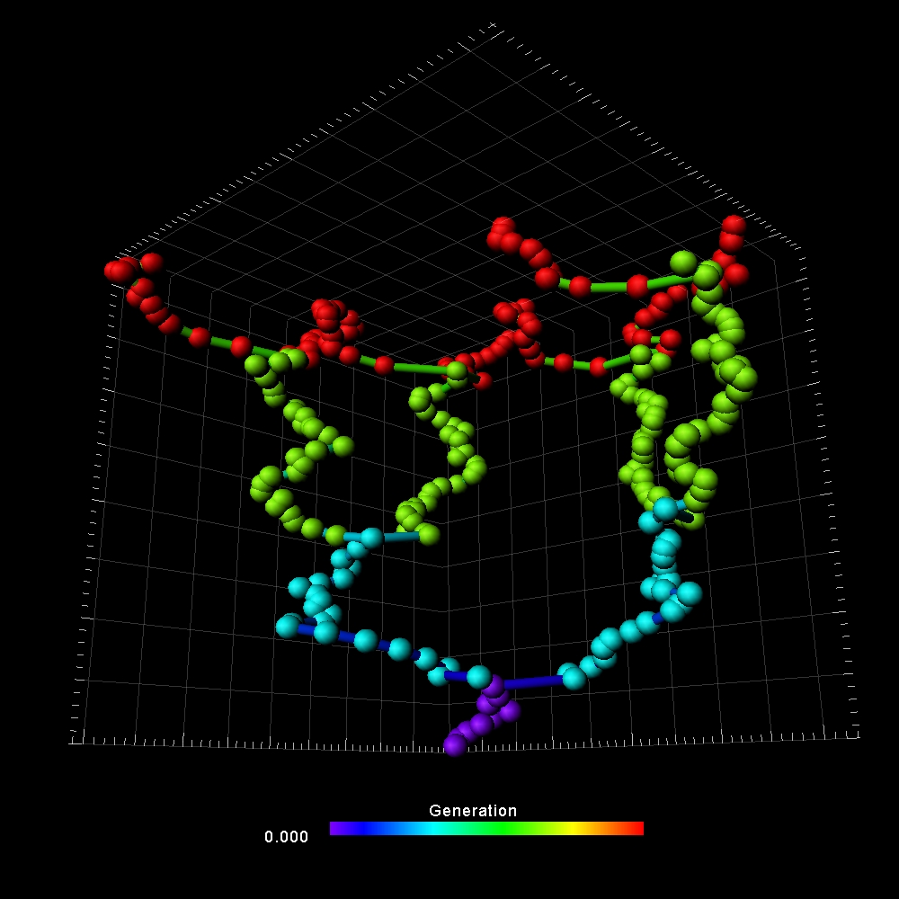 Fluorescently labeled nuclei of the C. elegans developing embryo were imaged in three-dimensional time-lapse (4D) movies and automatically tracked using ImarisLineage module.