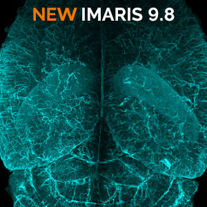 Try the new release of Imaris now