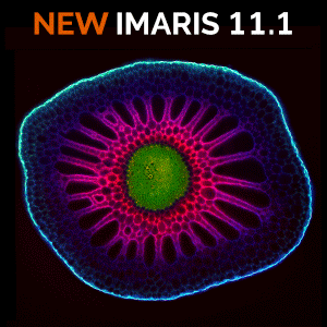 Try the new release of Imaris now