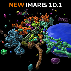 Try the new release of Imaris now