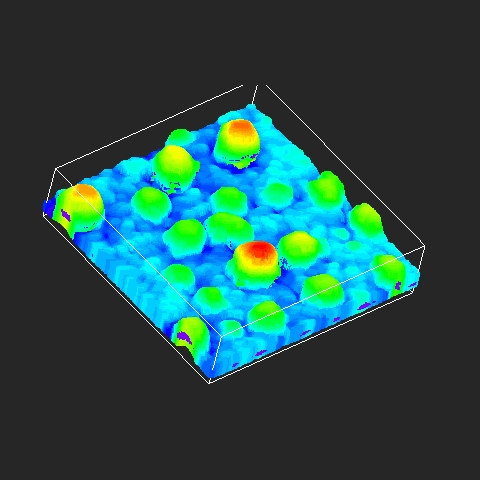 The ‚Biofilm Analysis‚ XTension measures the mean thickness, maximum thickness and Roughness Coefficient (Variance) of all reconstructed objects in the Surfaces scene