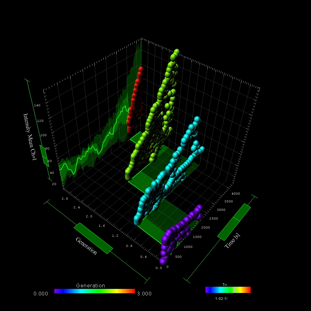 Fluorescently labeled nuclei of the C. elegans developing embryo were imaged in three-dimensional time-lapse (4D) movies and automatically tracked using ImarisLineage module. Celle were color-coded based on the generation. Using ImarisVantage cell generation was plotted versus time and fluorescence intensity.