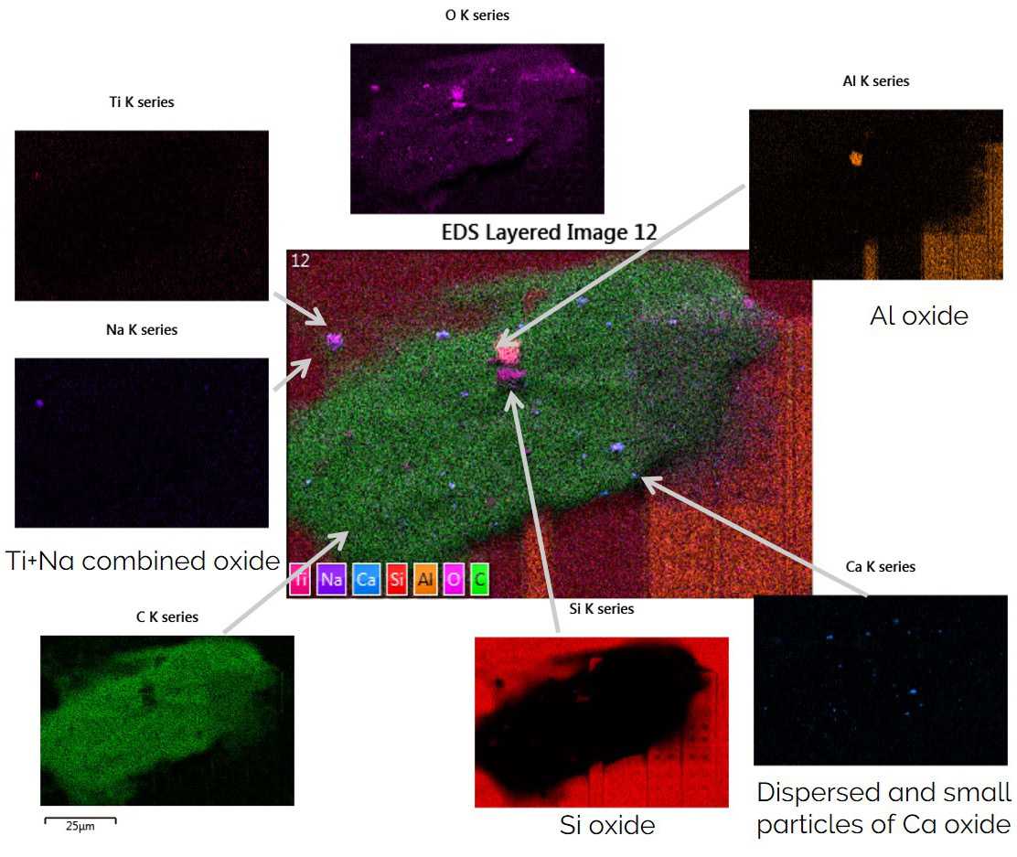 Fig 1. Secondary Electron (SE) image of a contaminated area on a PCB surface