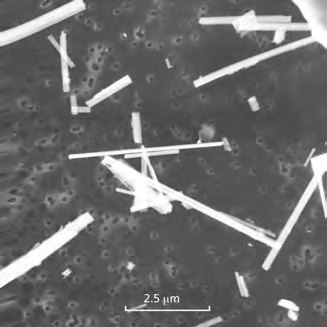 TEM image of chrysotile fibres