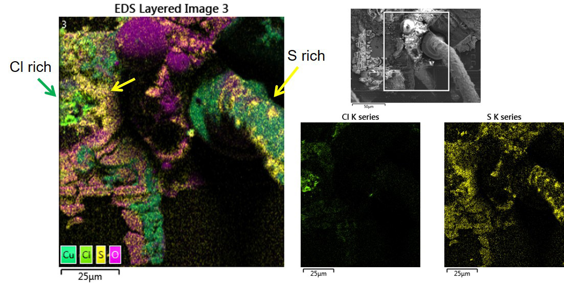 Fig 5. EDS layered image and element maps collected from the marked region