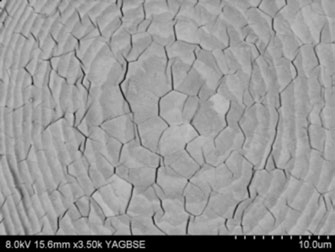 Figure 1a: High magnification backscattered electron image of the cut and polished calotte surface